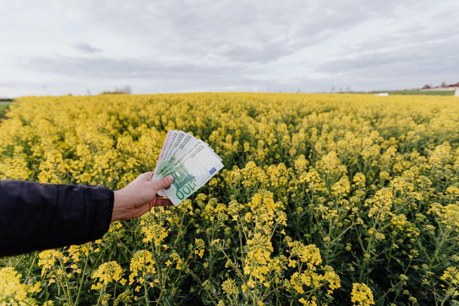 Unrecognizable male holding Russian bills while standing on blossom field during trip on countryside on daytime